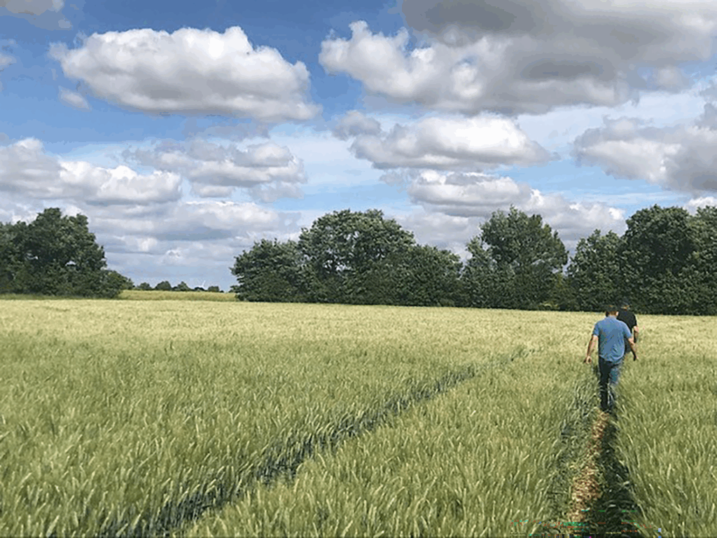 expert et assuré vus de dos dans un champ blé