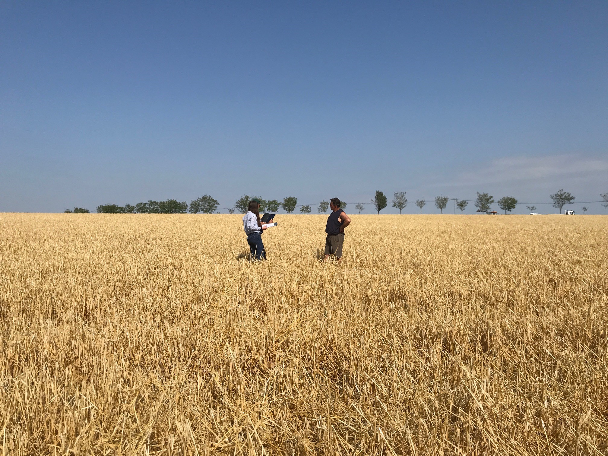 expertise dans un champ