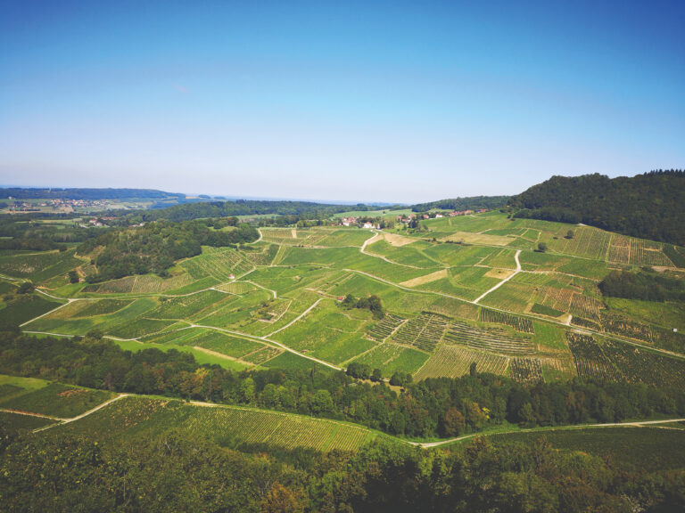 2f1f06185713245c77d52e881cd49c35e0fe59c3