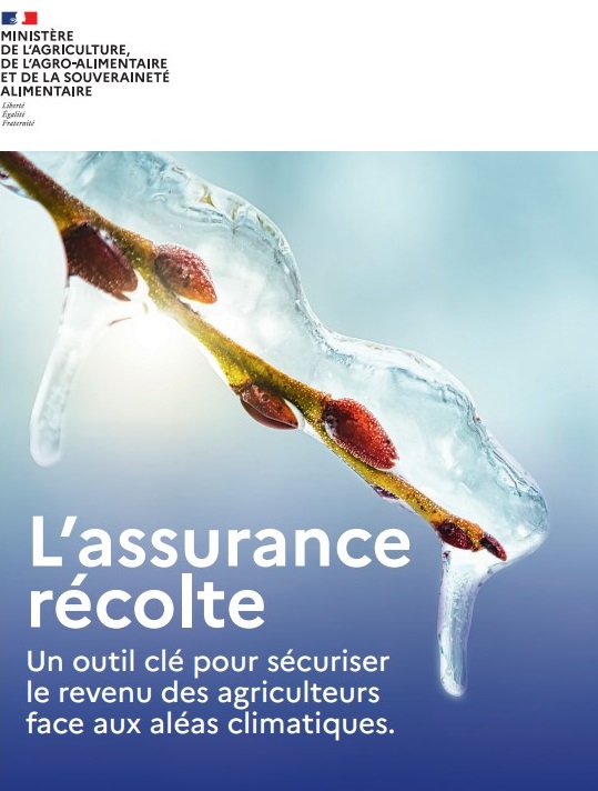 Affiche du Minist&egrave;re de l'Agriculture sur l'assurance r&eacute;colte, illustr&eacute;e par un bourgeon emprisonn&eacute; dans la glace